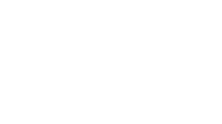 Olisa Agbakoba Legal (OAL)