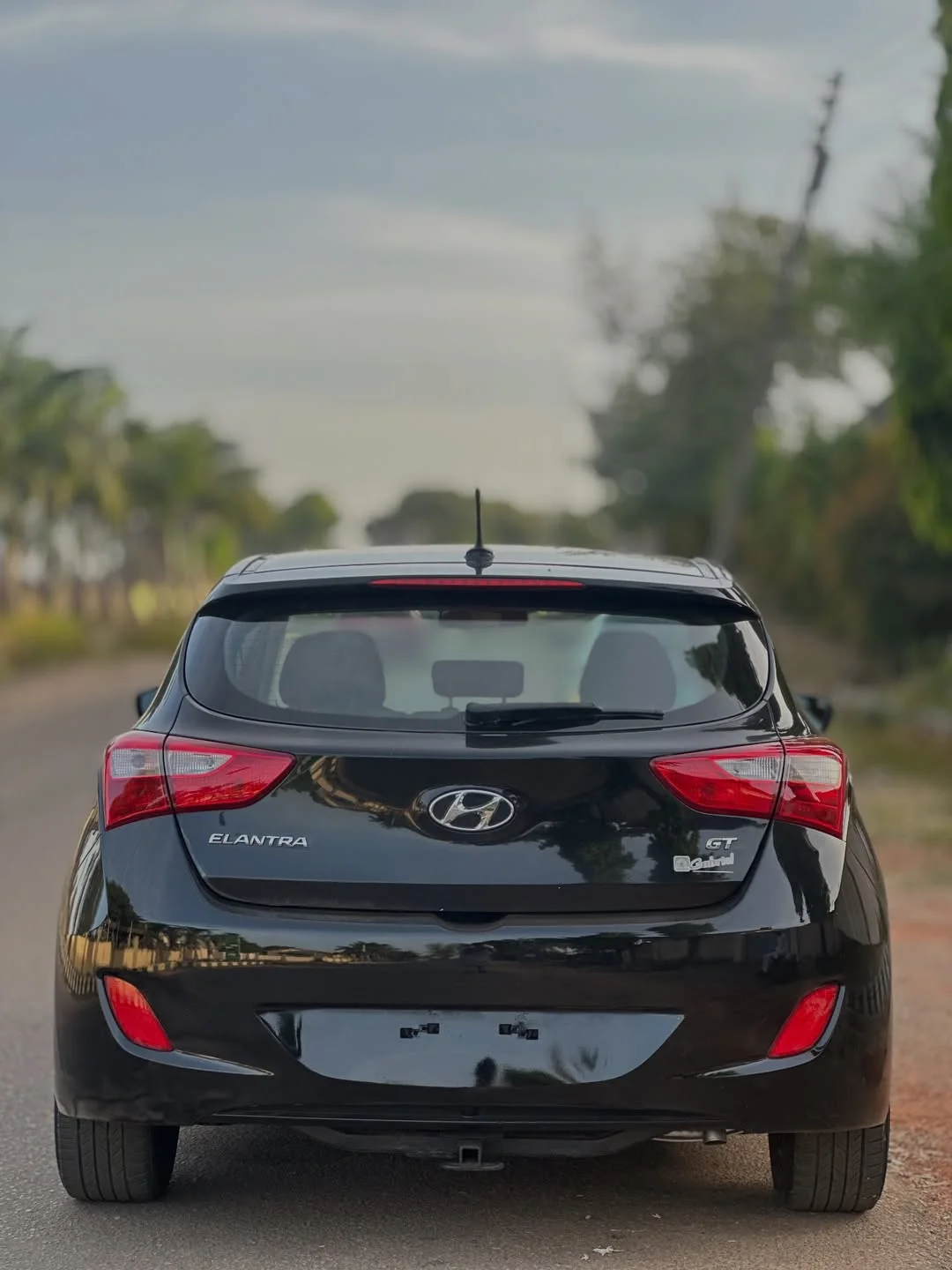 Nationwide Delivery: 2013 Hyundai Elantra GT