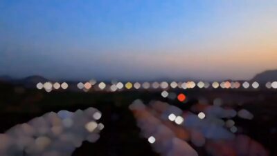 3504684510592868126_preview