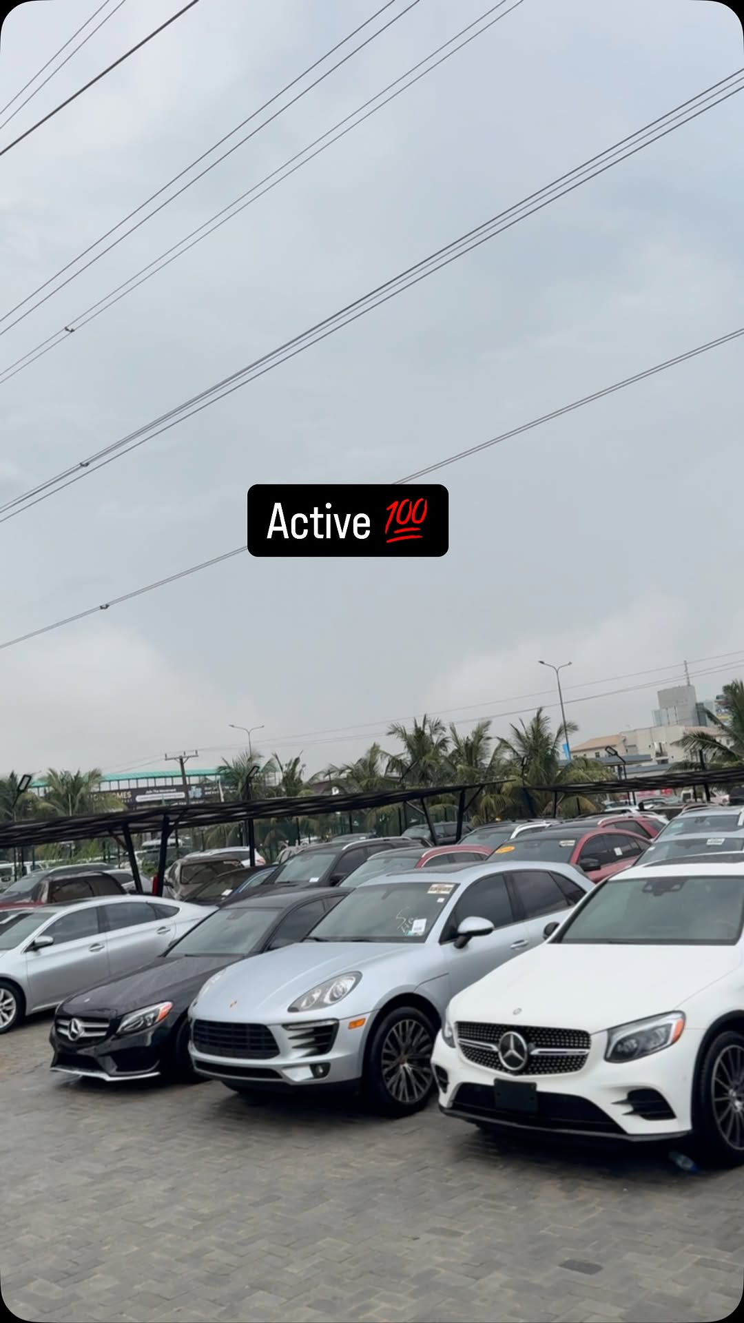 Unleash Your Drive: Luxury & Power Await