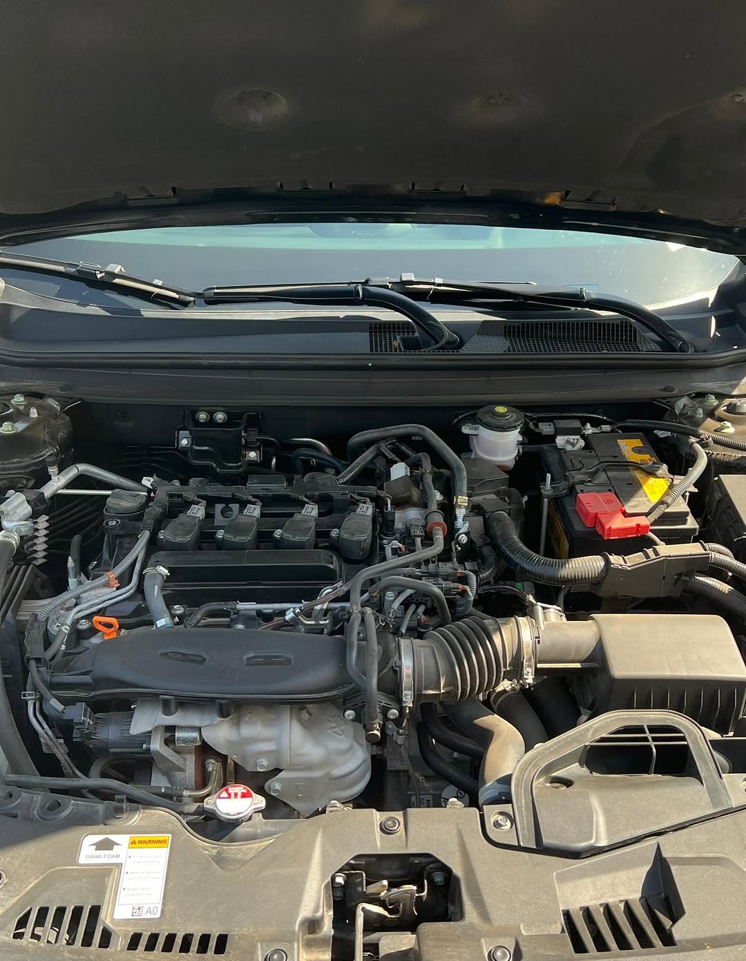 2025 Honda Accord: Untouched & Duty-Paid