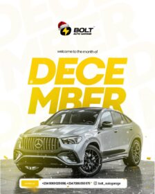 3777917079232758655_img