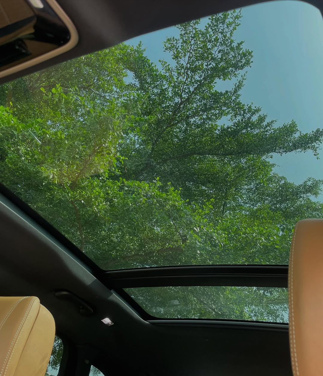 Luxury Redefined: 2019 Range Rover Velar P380 HSE