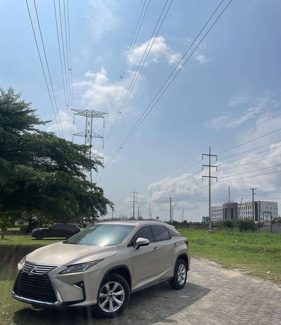 Luxury Lexus RX350: Sunroof & Safety Tech