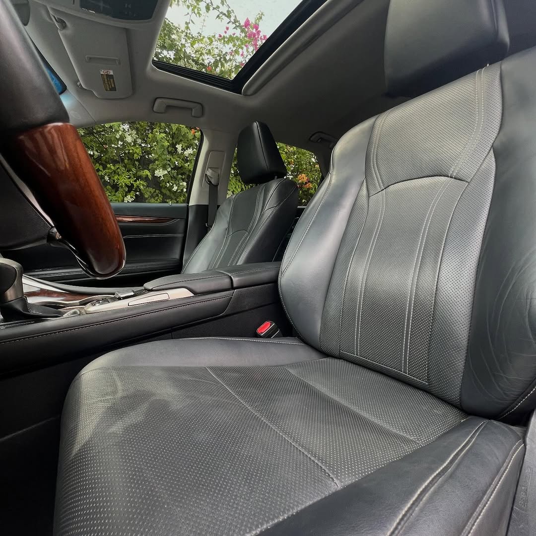 2019 Lexus RX350: Black Luxury, 360 Cam, Sunroof