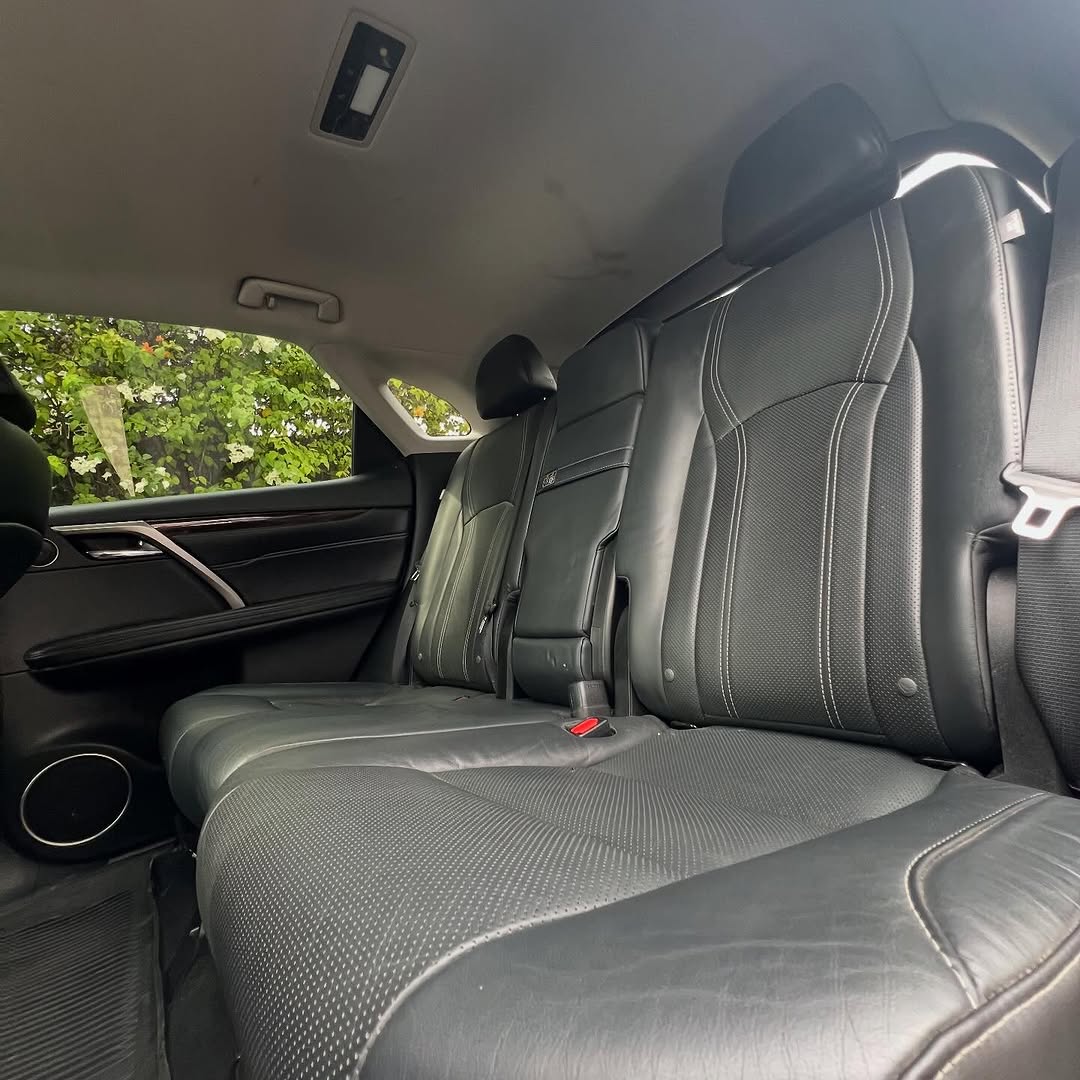 2019 Lexus RX350: Black Luxury, 360 Cam, Sunroof