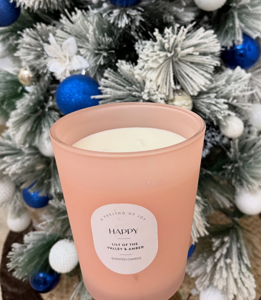 Scented Holiday Bliss: 1000g of Festive Fragrance