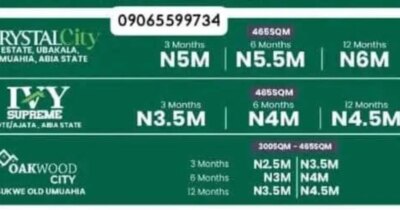 3785816038613109432_img