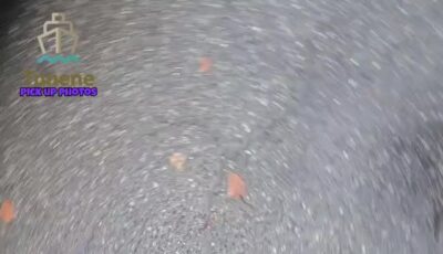 3786032869123551029_preview