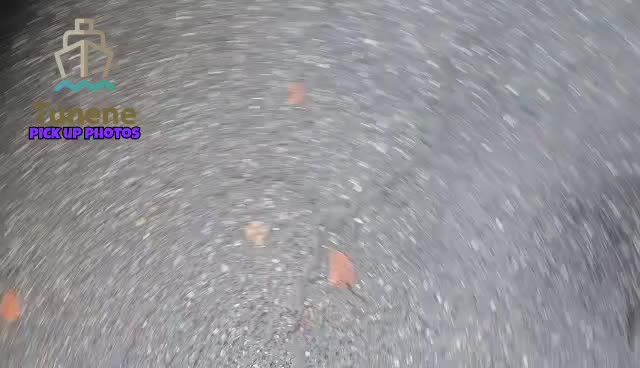 Drive Your Dream: USA Cars Delivered to You