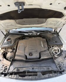 3787436506336508654_img_8