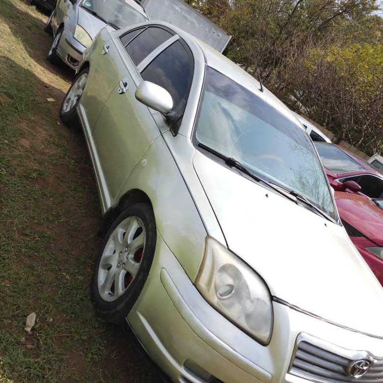 Unleash Your Drive: The Ultimate Ride Awaits