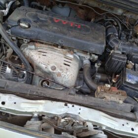 3787602304984179240_img_8