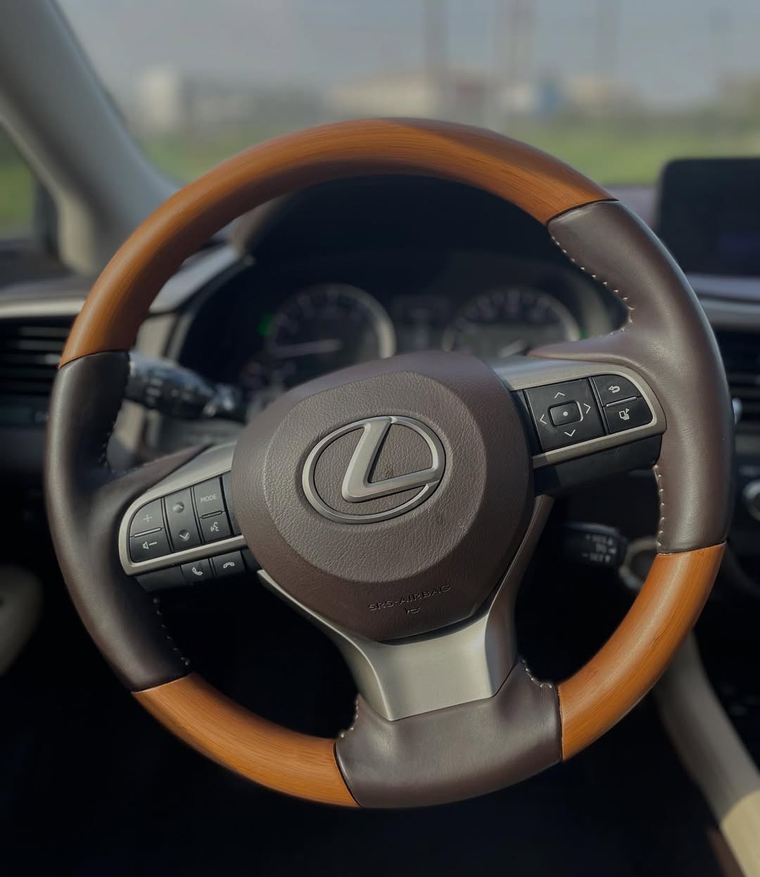 Luxury Lexus RX350: Sunroof & Tech Loaded