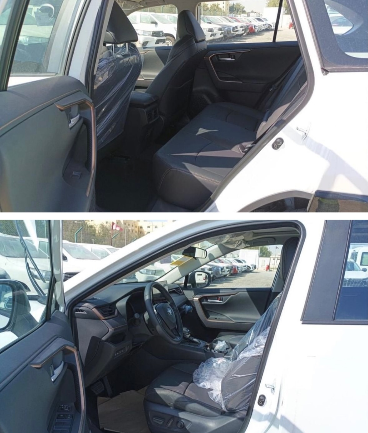 2025 Toyota Wildlander: Luxury Plus, Ready for Africa