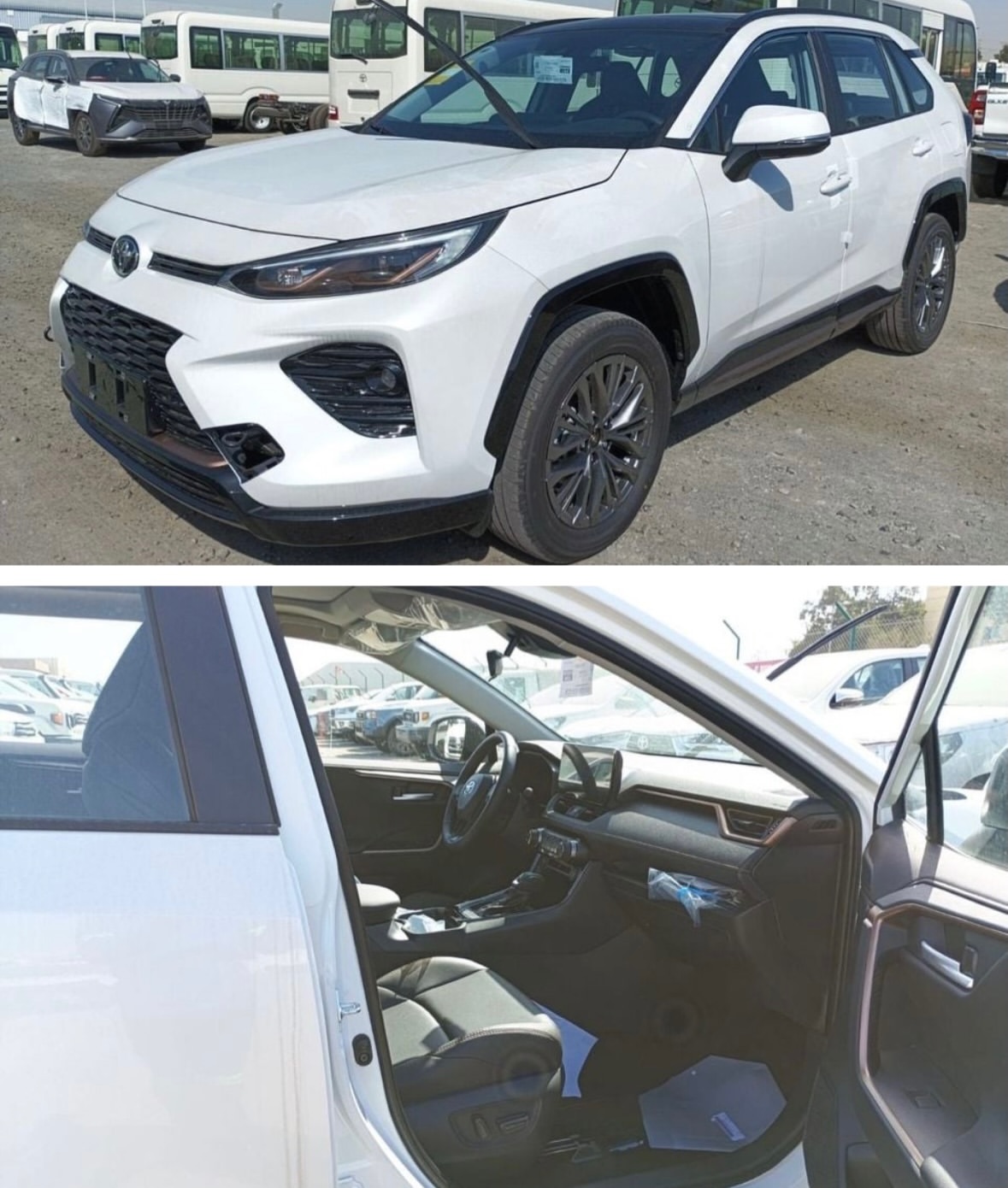 2025 Toyota Wildlander: Luxury Plus, Ready for Africa