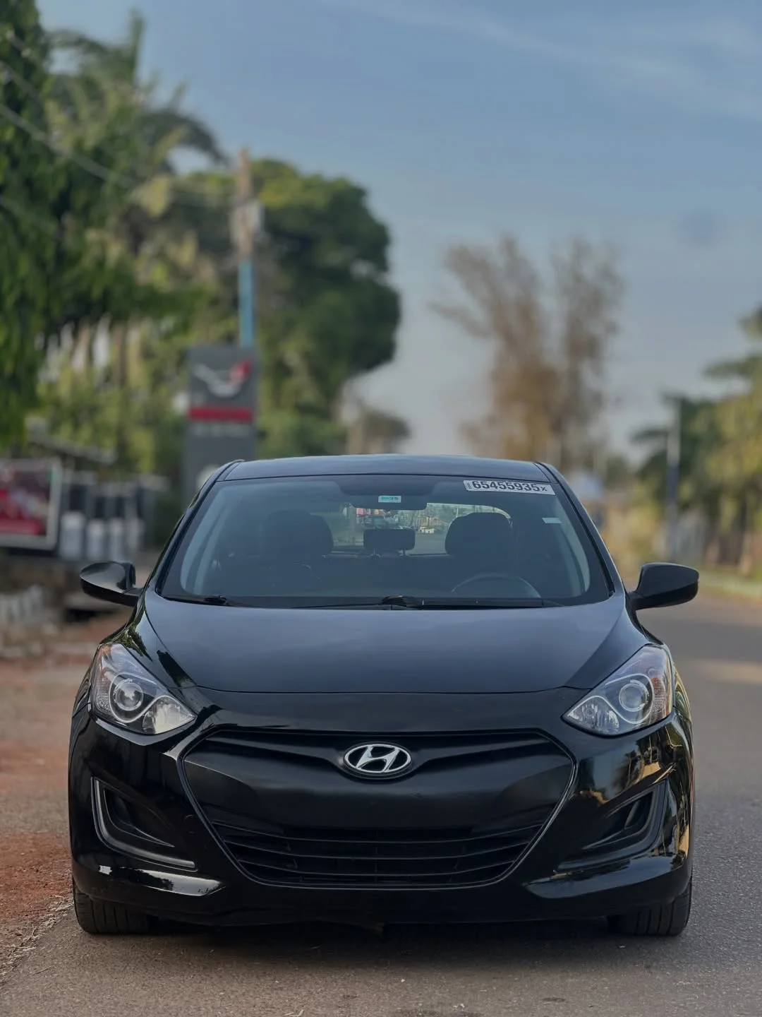 Nationwide Delivery: 2013 Hyundai Elantra GT