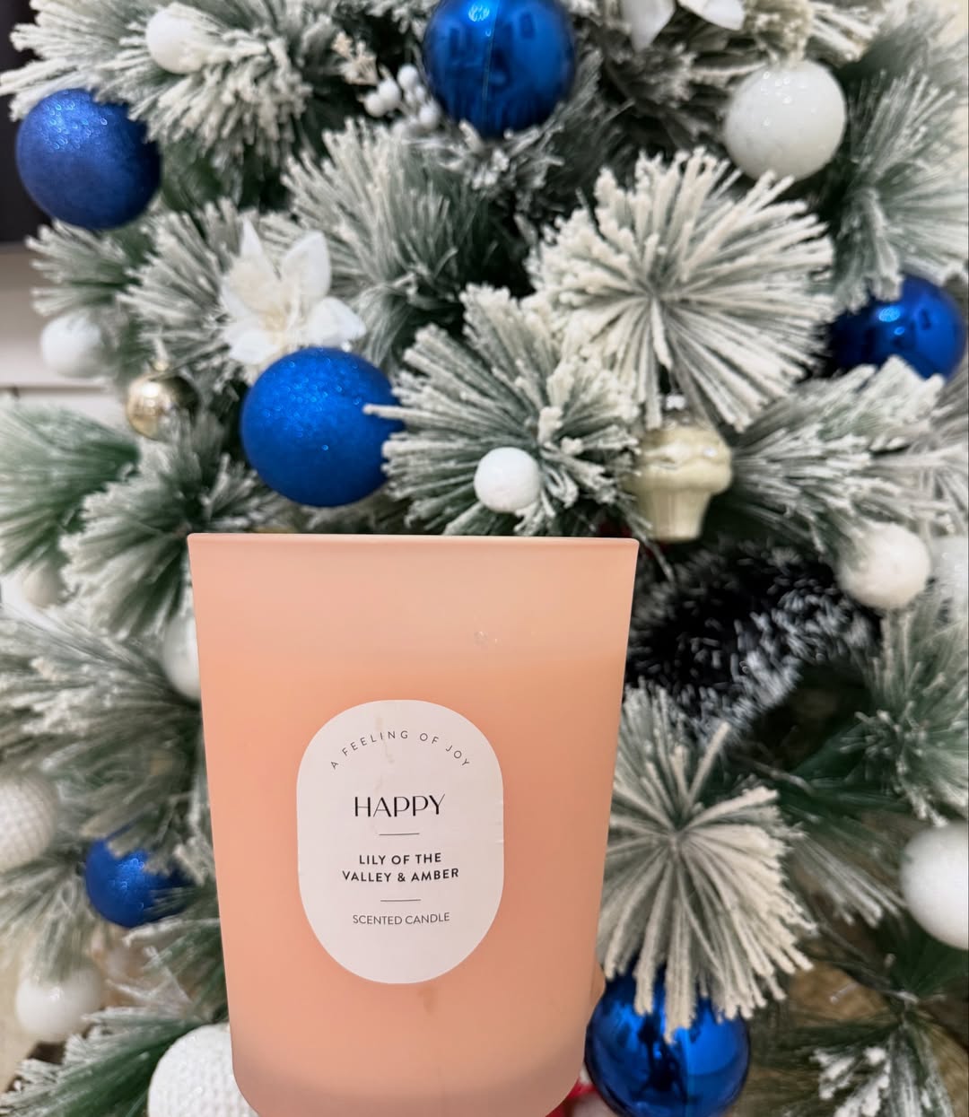 Scented Holiday Bliss: 1000g of Festive Fragrance