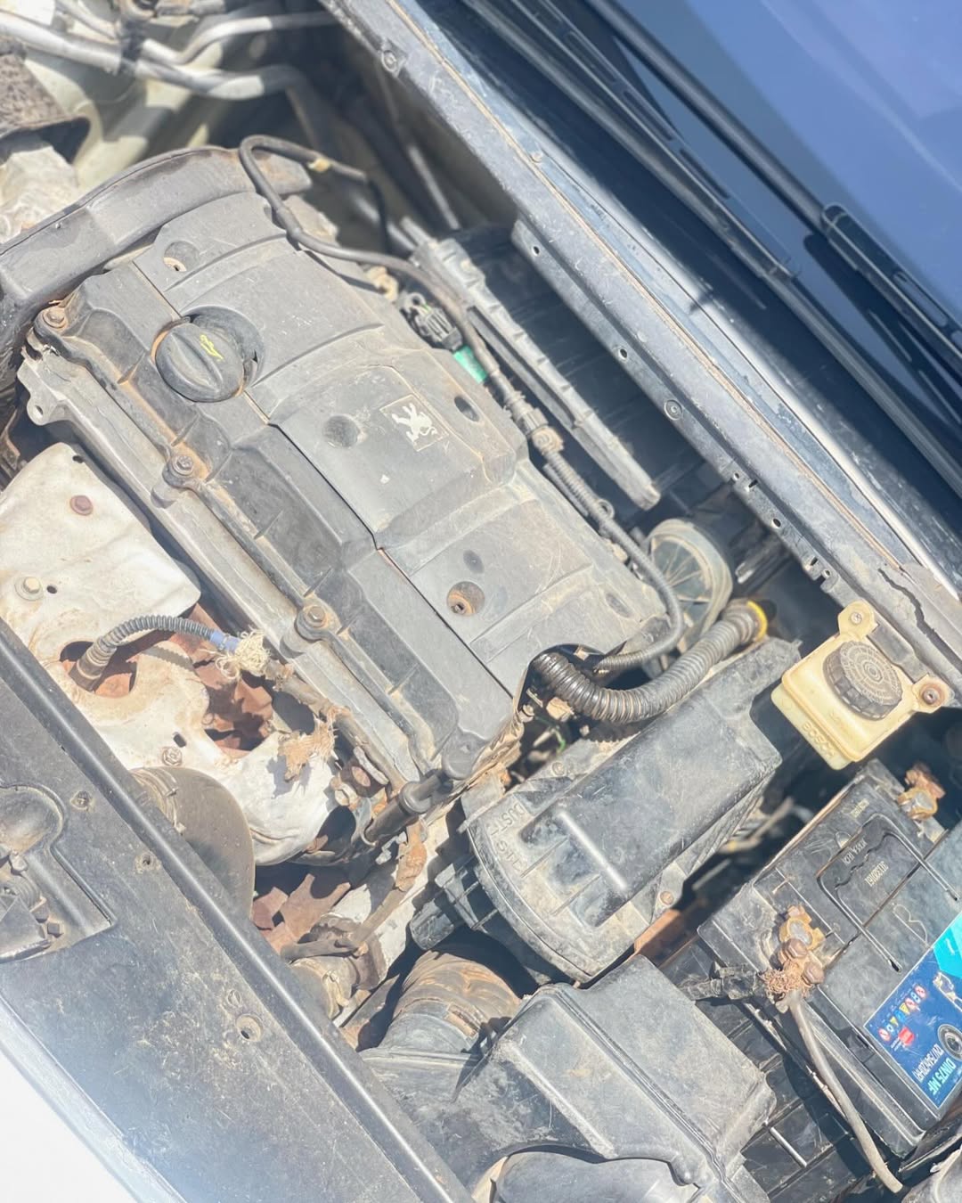 Fuel-Saving Peugeot 307: Style & Comfort, Manual Thrill