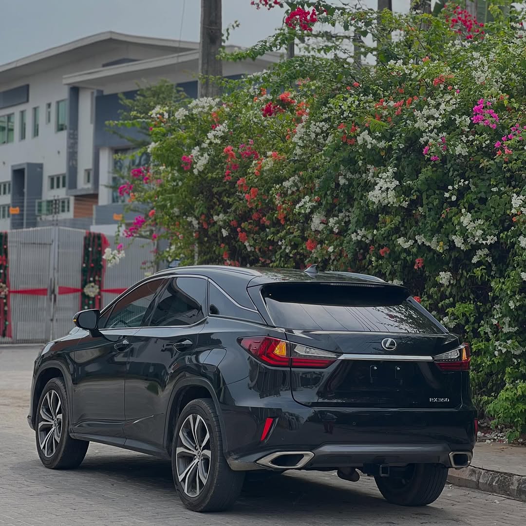 2019 Lexus RX350: Black Luxury, 360 Cam, Sunroof