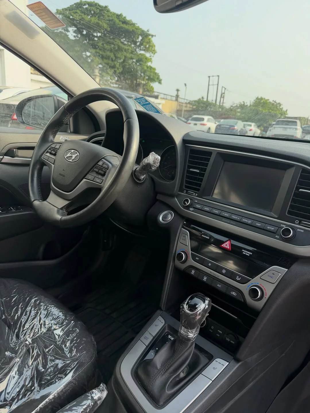 Luxury Elantra: Pre-Order & Save Big!