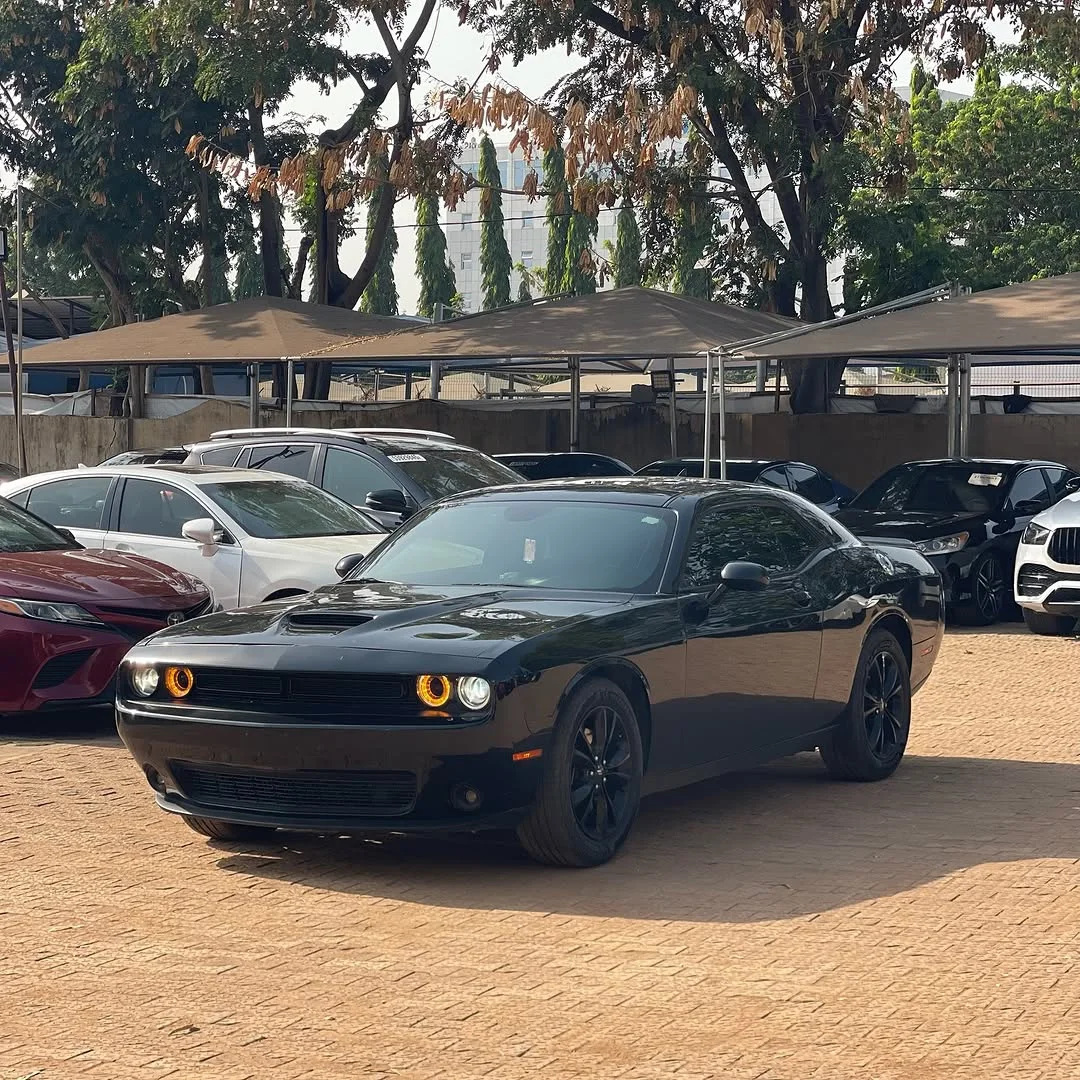 2019 Dodge Challenger: Unleash Your Inner Rebel