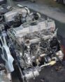 Powerful 4M40 Diesel Engine: Imported, Tested, Ready