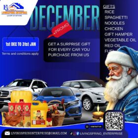 Drive Your Dream Car + Holiday Gift!