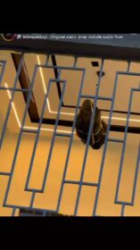 3780061226202870144_preview