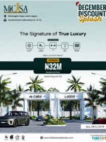 3780129611569482610_img_2