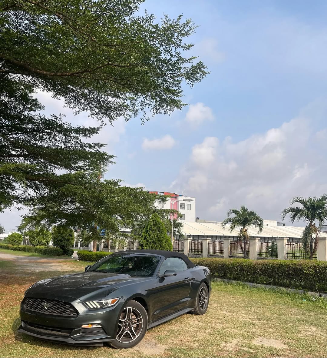 2016 Ford Mustang: Open-Top Thrills, 40M Naira
