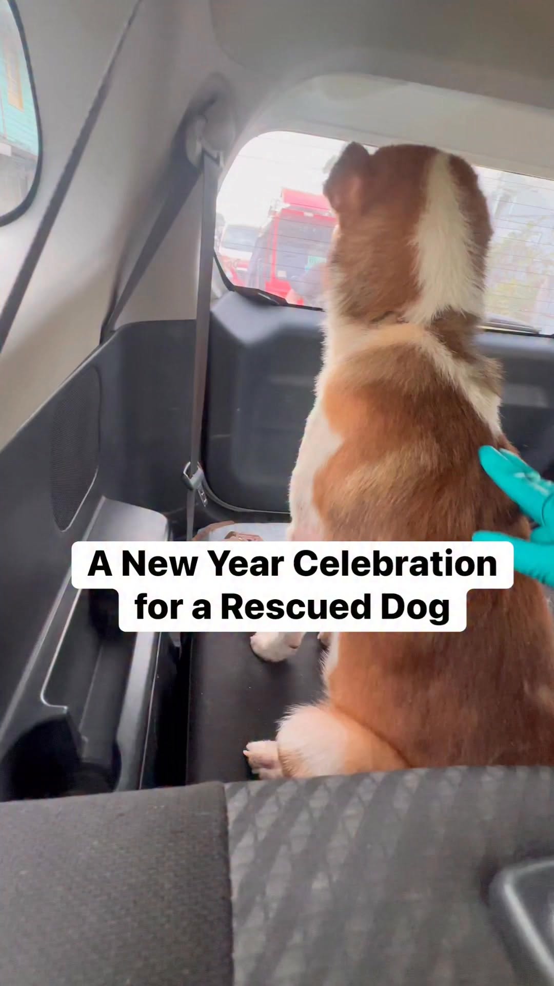 Unleash Joy: Tyron’s Miracle Return & Happy New Year 2026