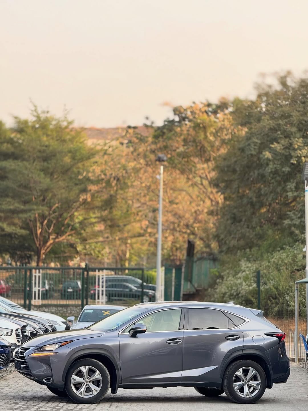 2017 Lexus NX200t: Pristine & Duty-Paid