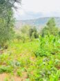 Build Your Dream on Kigali’s Prime Kinyinya Plot