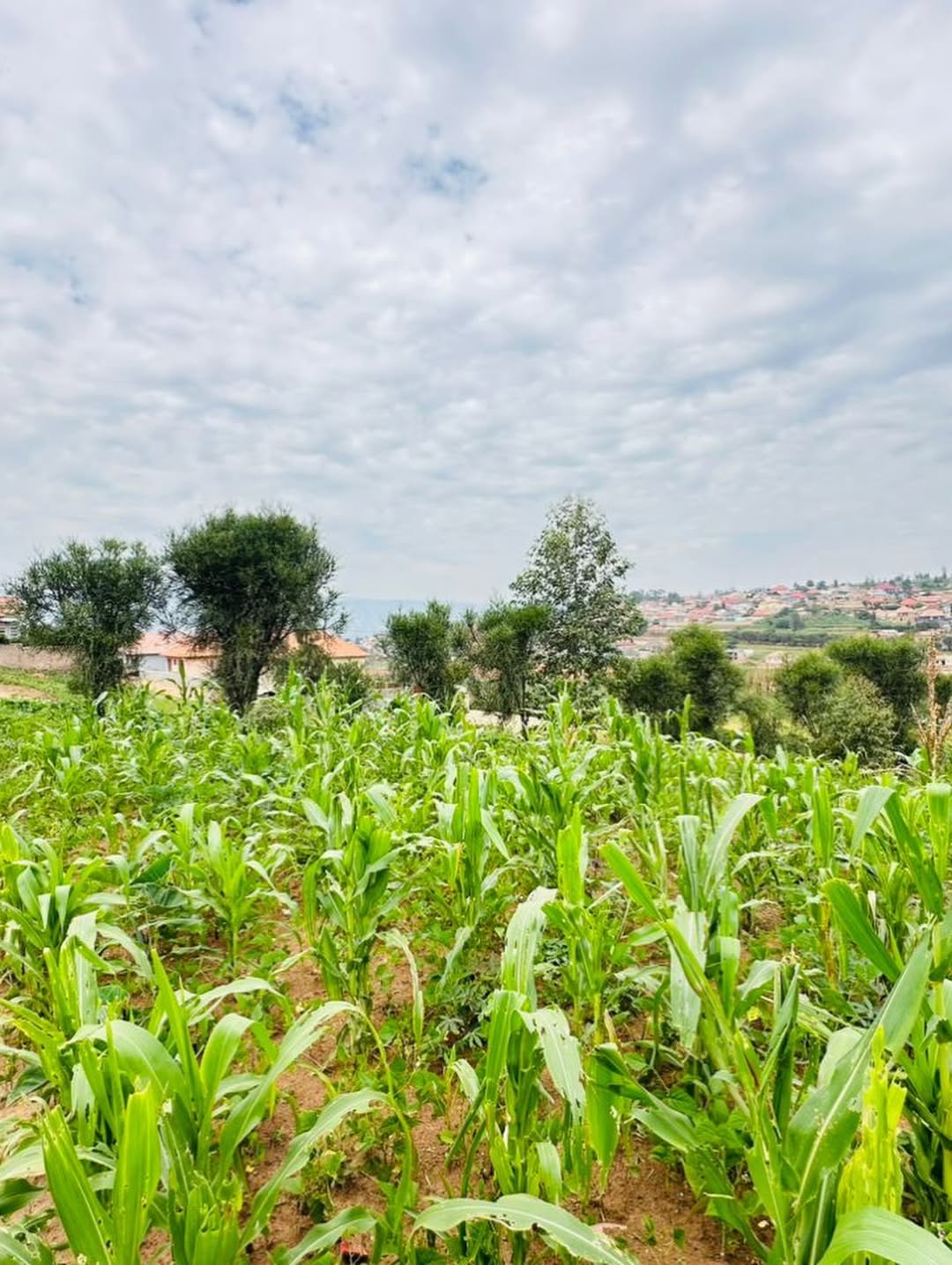 Build Your Dream on Kigali’s Prime Kinyinya Plot