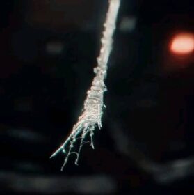 3803396210913357087_img