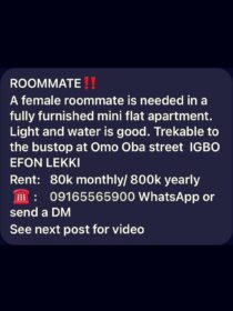 3804055193079925035_img