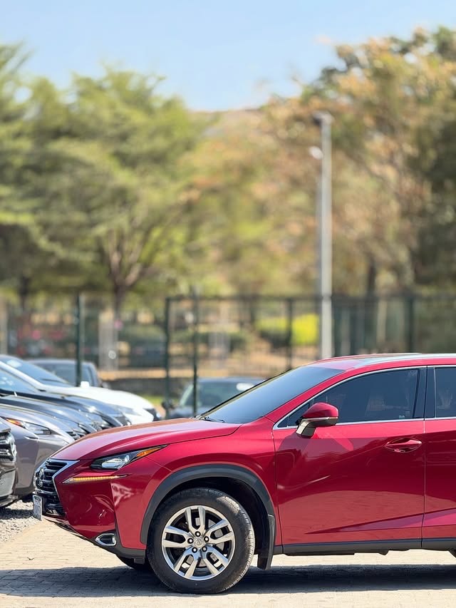 Immaculate Lexus NX200T: Duty-Paid & Ready