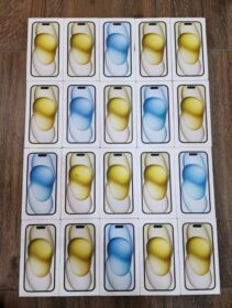 3805444120584519736_img