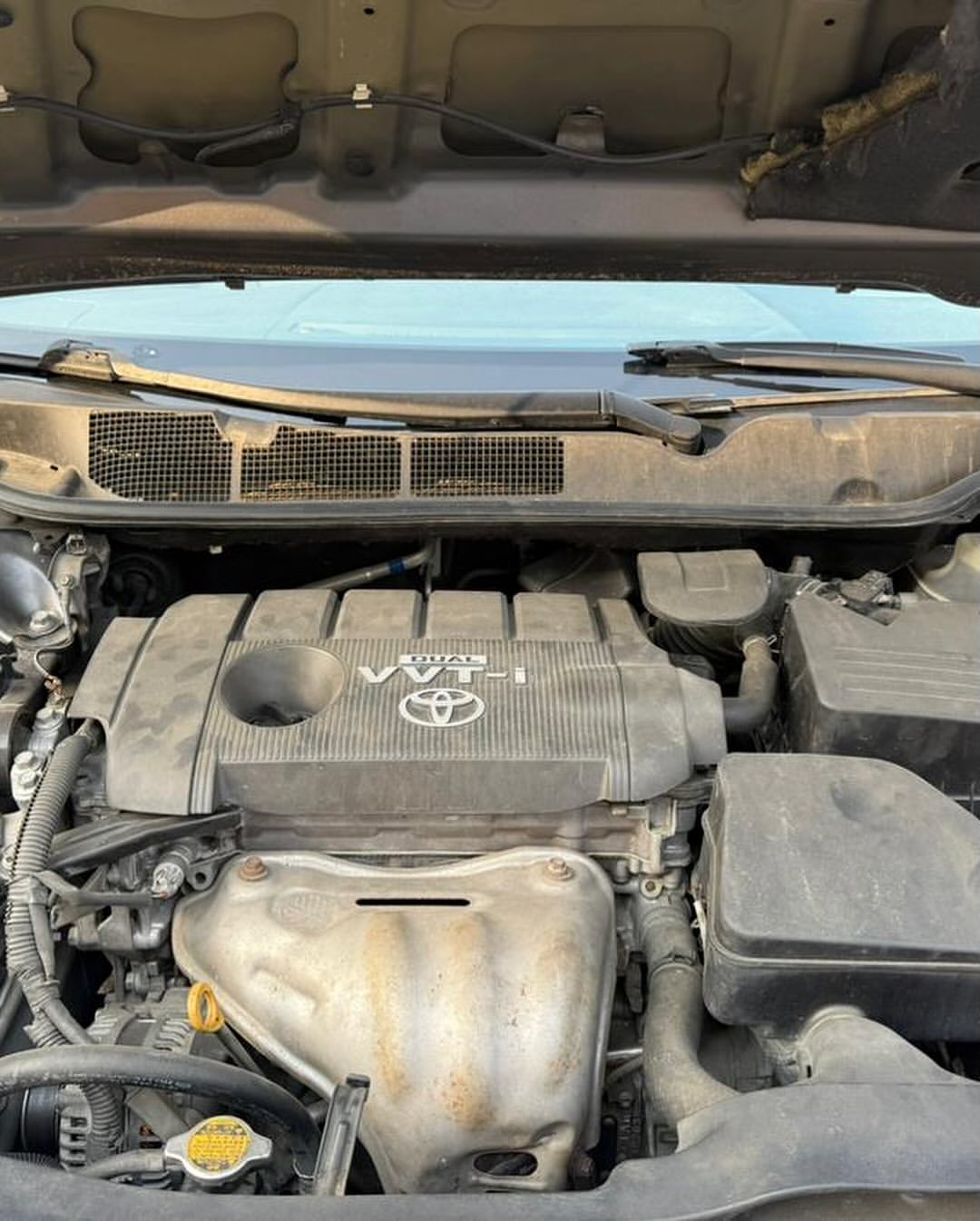 Immaculate 2010 Venza: Foreign-Used & Fully Loaded