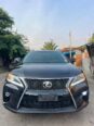 Flawless 2010 Lexus RX350: Luxury & Value