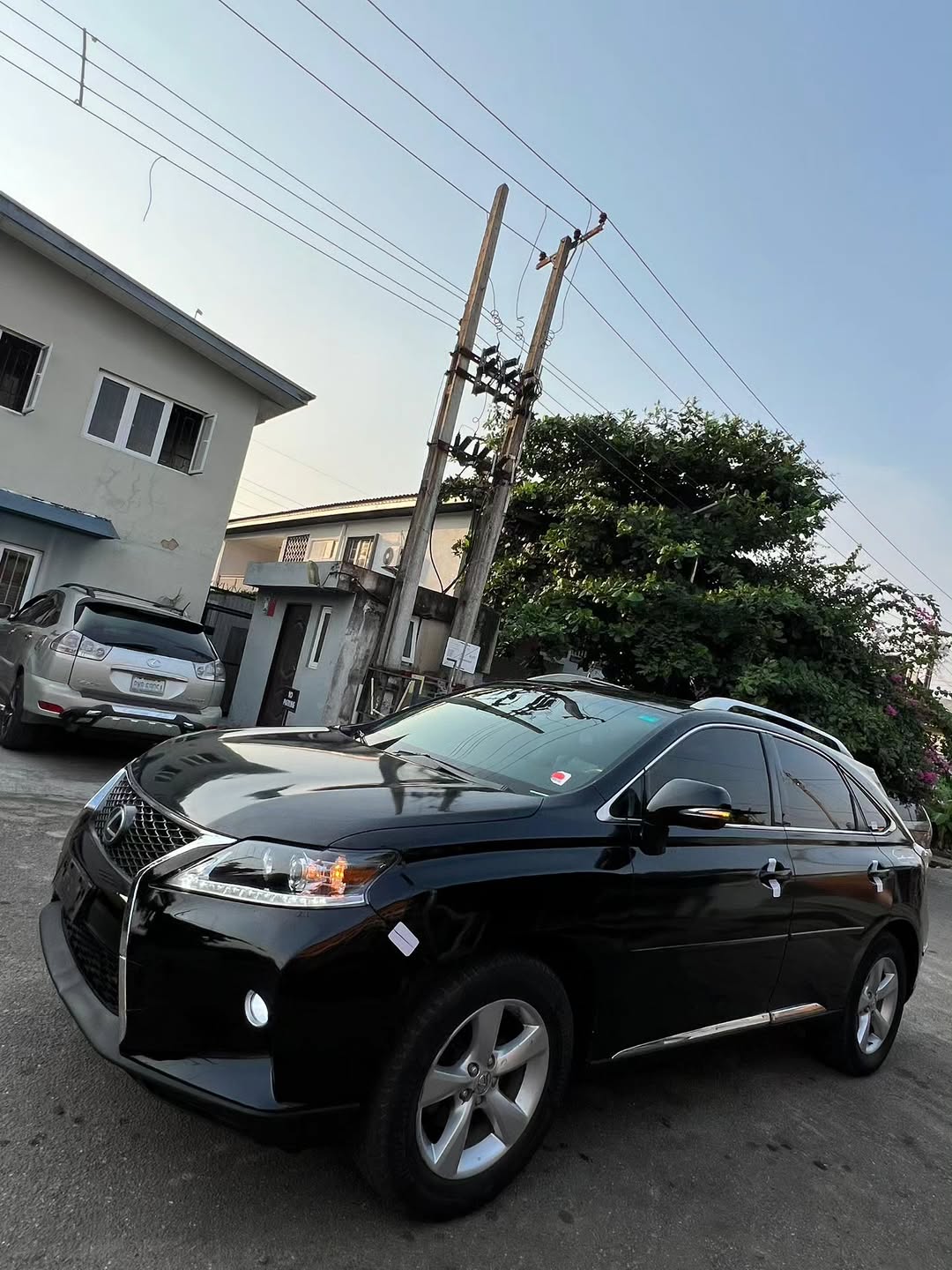 Flawless 2010 Lexus RX350: Luxury & Value