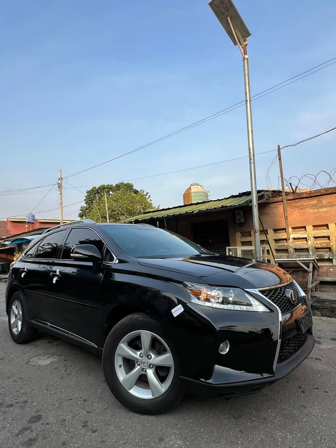 Flawless 2010 Lexus RX350: Luxury & Value