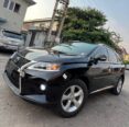 Flawless 2010 Lexus RX350: Luxury & Value