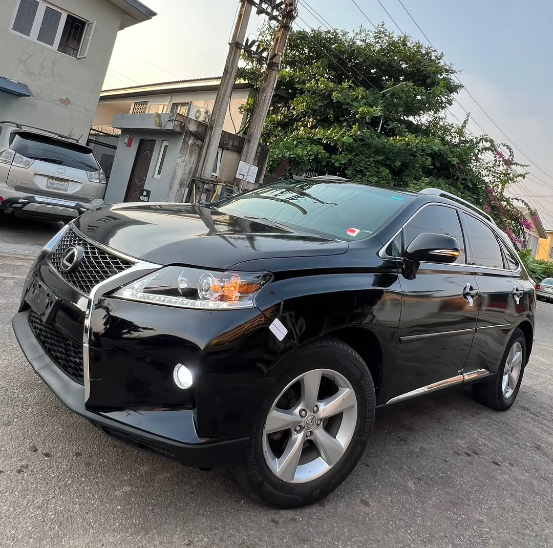 Flawless 2010 Lexus RX350: Luxury & Value