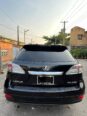 Flawless 2010 Lexus RX350: Luxury & Value