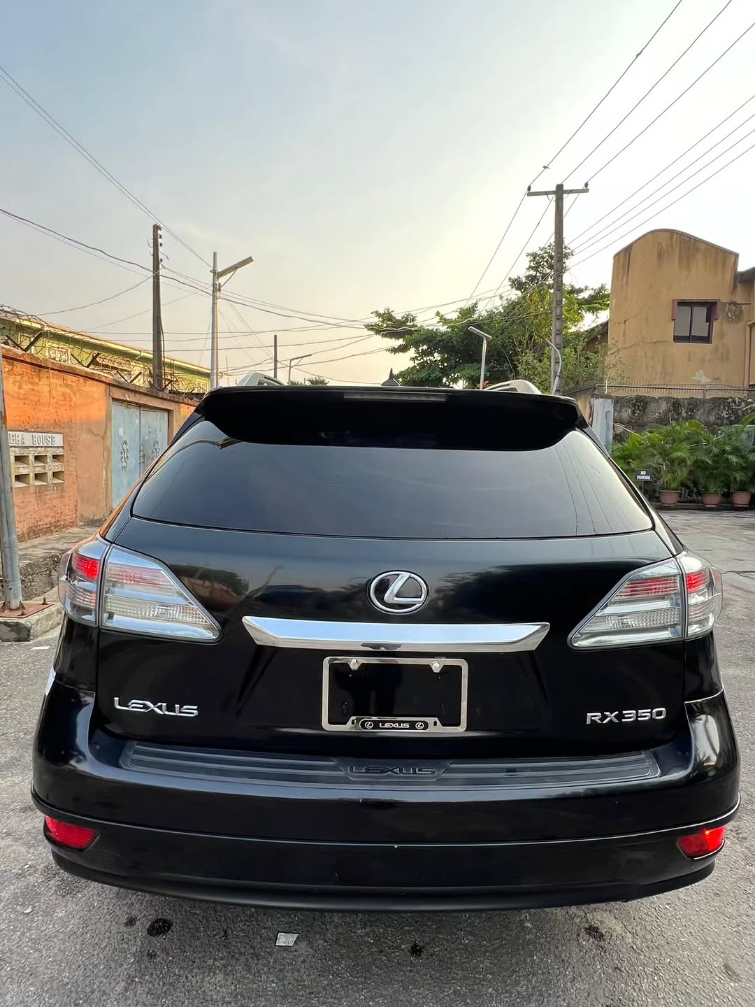 Flawless 2010 Lexus RX350: Luxury & Value