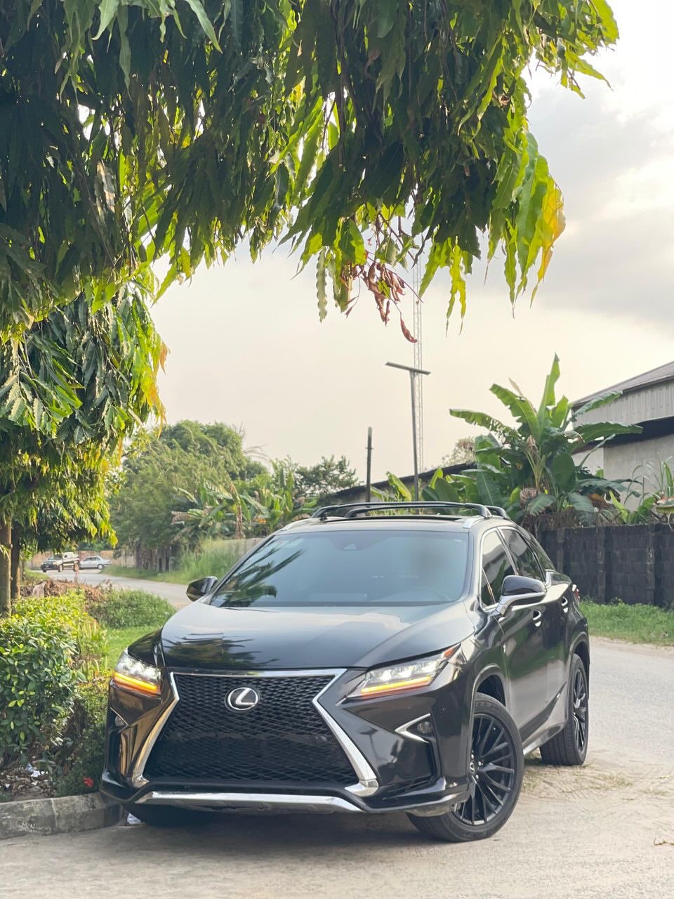 Like-New Lexus RX350 F-Sport: Your 1-Month Guarantee