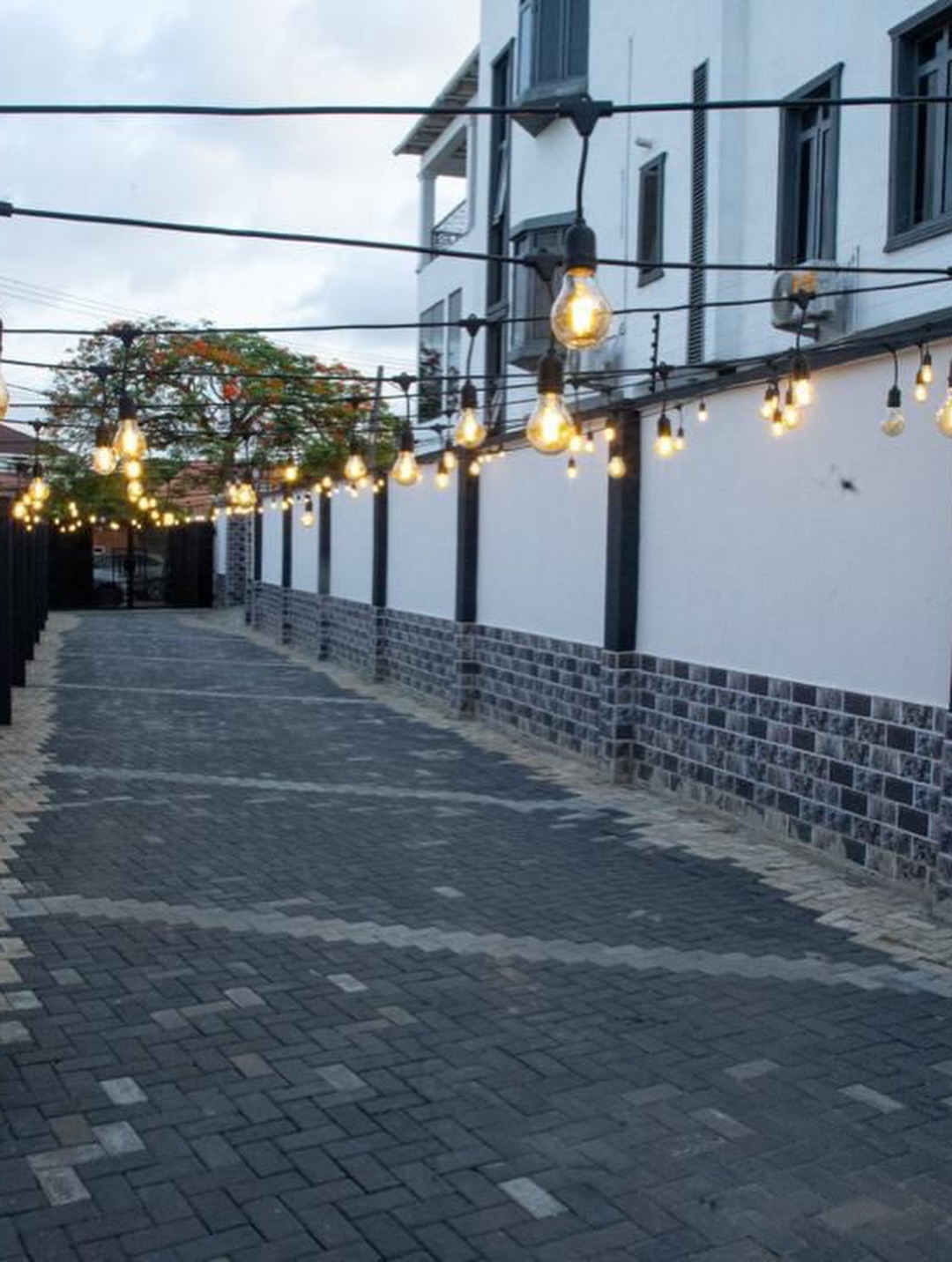 Live in Elegance: Alpha’s Open-Plan Haven