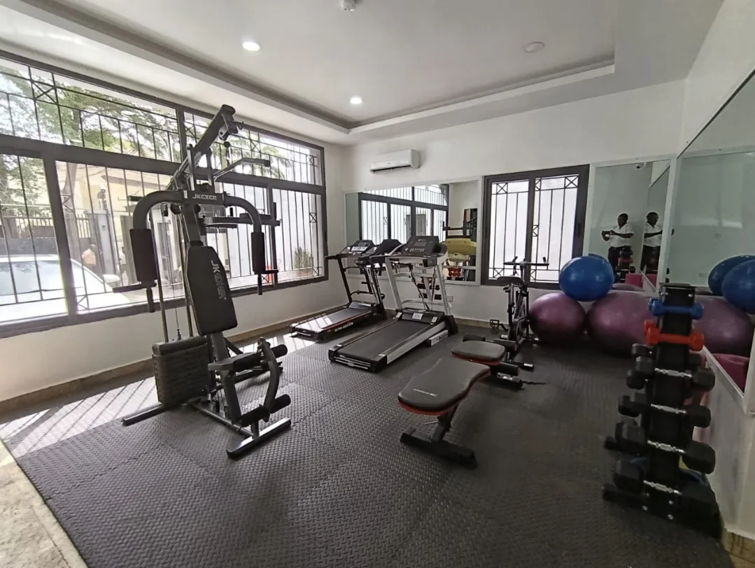 Ensuite Haven in Garki 2: 2-Bedroom Luxury with Gym & DStv